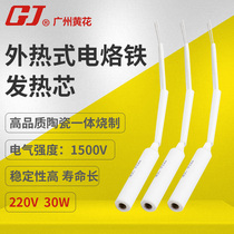 Yellow flower external heating electric iron N0 730840750860 special heating core heating wire heating accessory