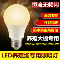 Special lighting for chicken coop LED pig farm breeding lighting E27 screw-mouth chicken coop and laying hen farm energy-saving bulb warm light