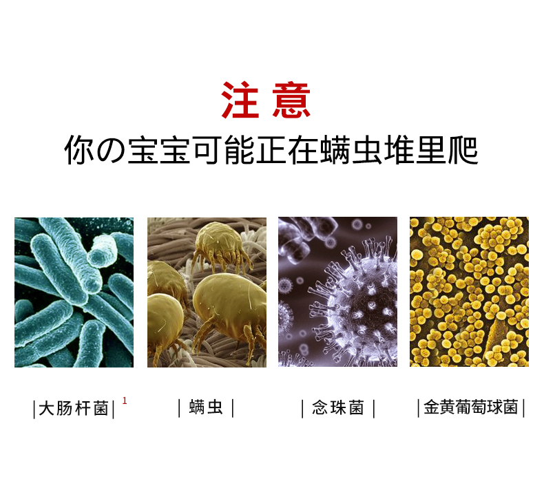 Shark鲨客 110度高温蒸汽拖把 双螺旋强力去污抑菌除螨 图5