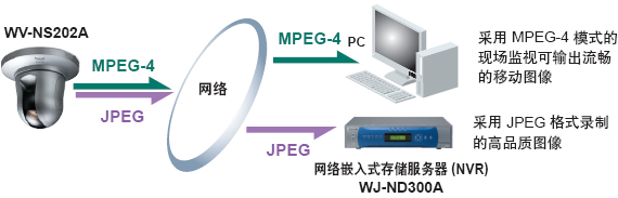 双码流输出 (JPEG / MPEG-4)