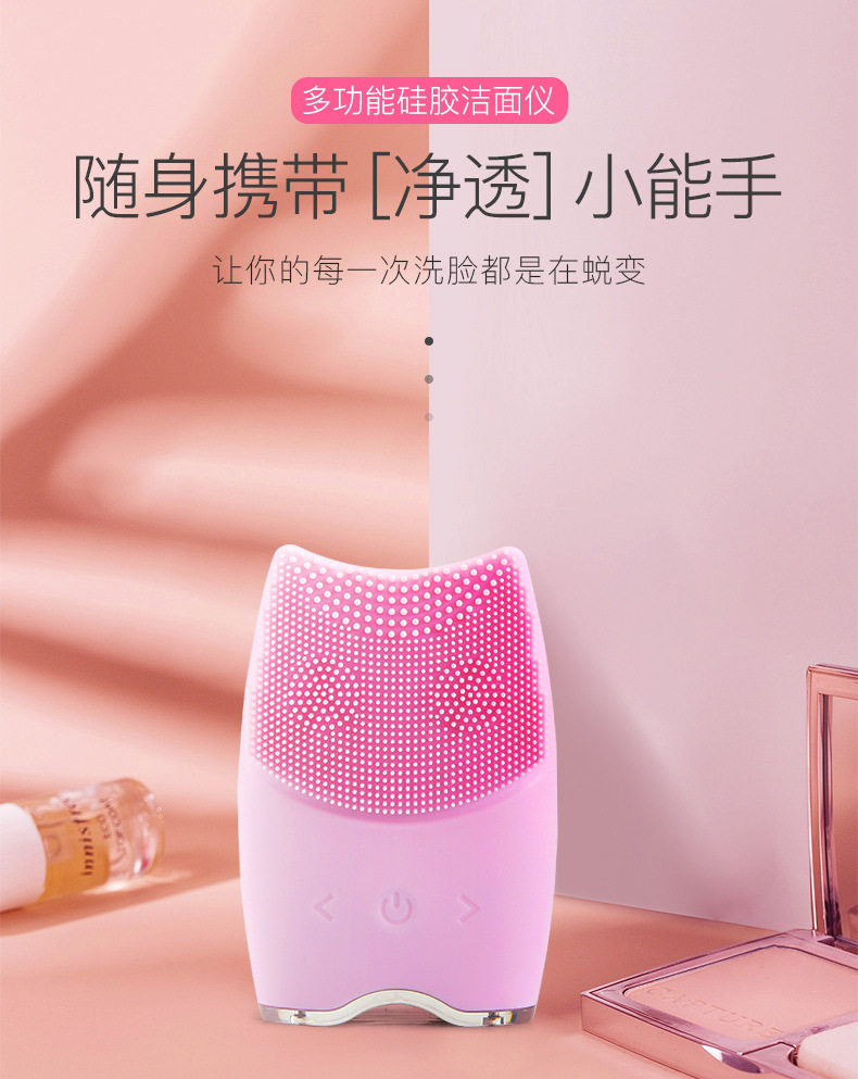 Face Washing Instrument -1_01.jpg