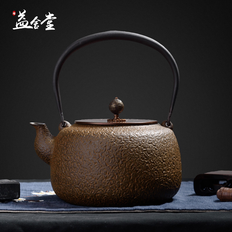 Household iron kettle Southern Japan pure hand-made rock muscle cast iron kettle old iron kettle uncoated boiled tea boiled water iron teapot