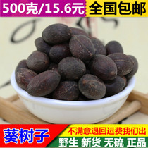 Bo-Bai-super new sunflower tree seeds 500 grams of Chinese herbal medicine sunflower tree seeds
