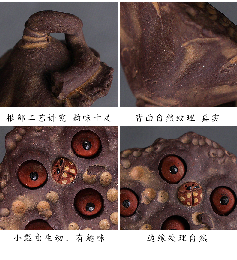 Ya xin company hall creative purple lotus tea pets play tea set manually frog lotus seed quality furnishing articles tea to keep