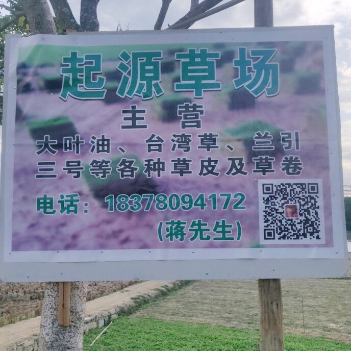 起源草场