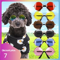 Собачьи домашние очки для домашних животных, одетые в глаза, собачьи солнцезащитные очки