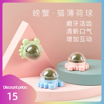 Pet Catnip Toys Catnip Ball Cat Cats Game Clean Teeth