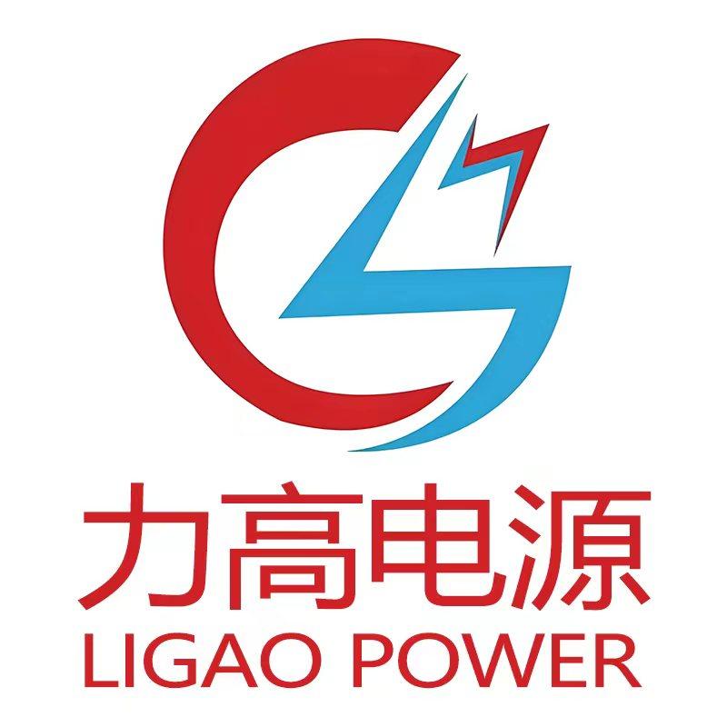 山东力高电源有限公司官方企业店