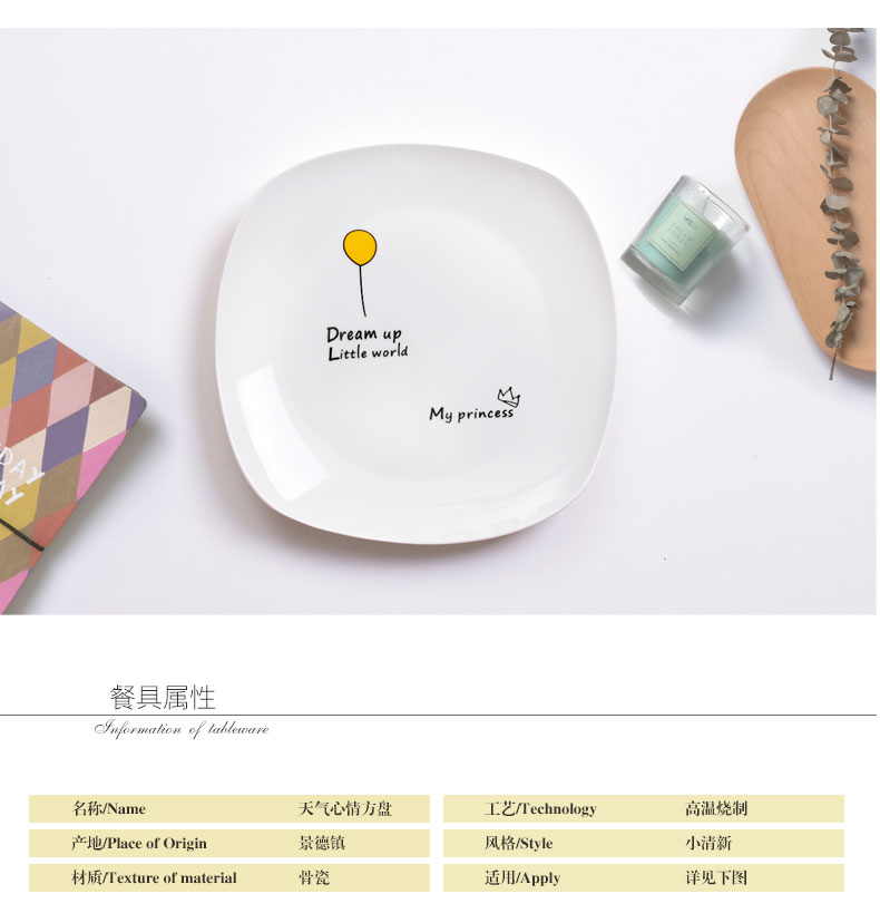 Square the Nordic ins web celebrity ceramic plate creative lovely pasta dish dish dish dish move household