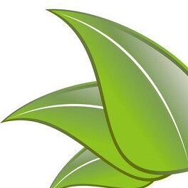 小翠茶包百货