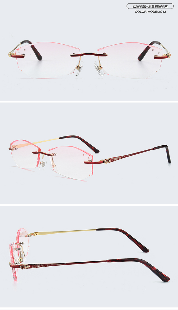 Montures de lunettes      en Titane pur - Ref 3139763 Image 23