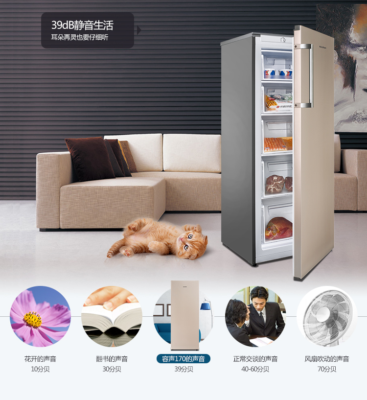 Ronshen Rongsheng BD-170KE lớp ngăn kéo tủ đông dọc tủ đông tủ lạnh 170 lít nguyên mẫu 99 mới - Tủ đông tủ bảo ôn hòa phát