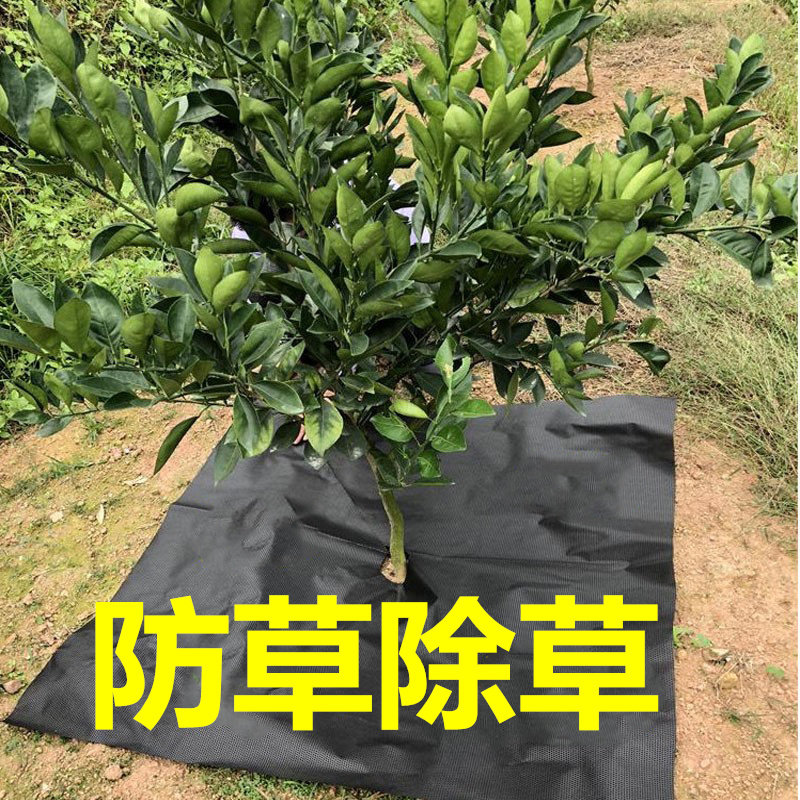 New grass-proof cloth weed cloth durable fruit tree farming cover covered with grass cloth