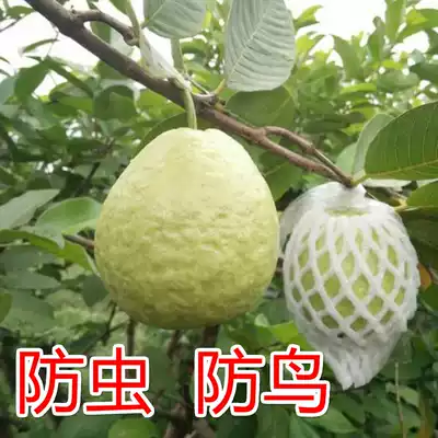 Guava bagging special bag Guava bagging special bag Guava net bag bag integrated insect-proof fruit bag bagging