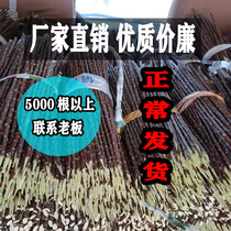 Xinjiang Goat Meat String Barbecue Sign Red Willow Roast Sign Red Willow Branches Barbecue Sign Mutton Big String Branch Sign Wood Sign