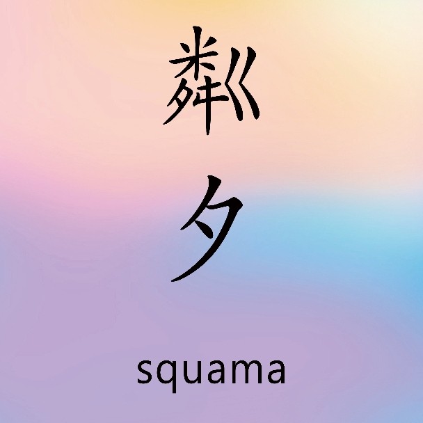 粼夕 squama