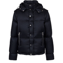 Hong Kong direct mail trendy luxury Balmain mens classic pattern jacquard down jacket 36158844