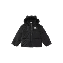 (Direct mail from the United States) the north face mens down jacket