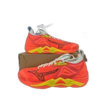 Korean direct mail MIZUNO badminton shoes V1GA231202 Mizuno
