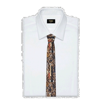 Hong Kong direct mail FENDI mens tie FXC023ARH3F1KR8