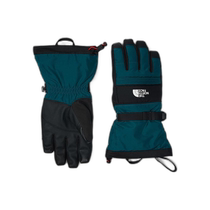 (Direct mail from the United States) the north face gloves