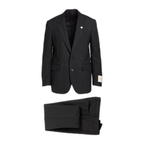 (Direct mail from the United States) lardini mens casual suit
