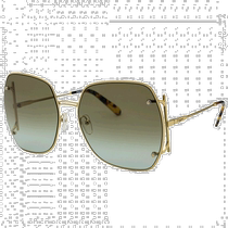 Hong Kong direct mail Salvatore Ferragamo logo sunglasses SF202S