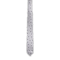 Hong Kong Direct Mail NICKY Mens tie VAGOR1