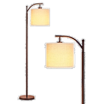 Brightech Montage LED Floor Lamp - Oil Brushed Bronze (American Outlet) Straight Hair
