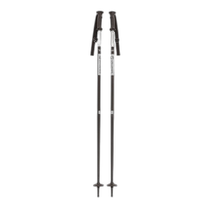 Nichia errand running salomon mens and womens snow pole black 110 D-10750335001