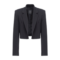 Hong Kong direct mail trendy luxury Pinko womens long-sleeved casual jacket 1026037624