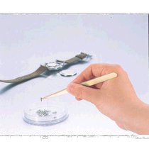 Japan direct mail Trusco Zhongshan brass tweezers tapered hardware tool 140 mm TSP 82