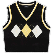 Korean direct mail Celden vest V-neck curved vest EDVK23154