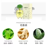 Цветочные свежие духи, доставка напрямую из США, долговременный эффект