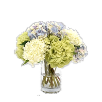 Creative Displays Cream Blue Hydrangea Floral Arrangement