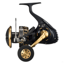 Japan direct mail Daiwa spinning fishing reel BG SW 14000-H 23 years model