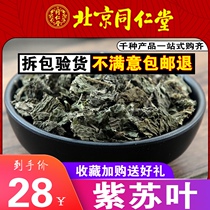 Tong Ren Tang sulfur-free wild perilla leaf Edible perilla leaf dried Chinese herbal medicine fresh bulk 500g grams of tea