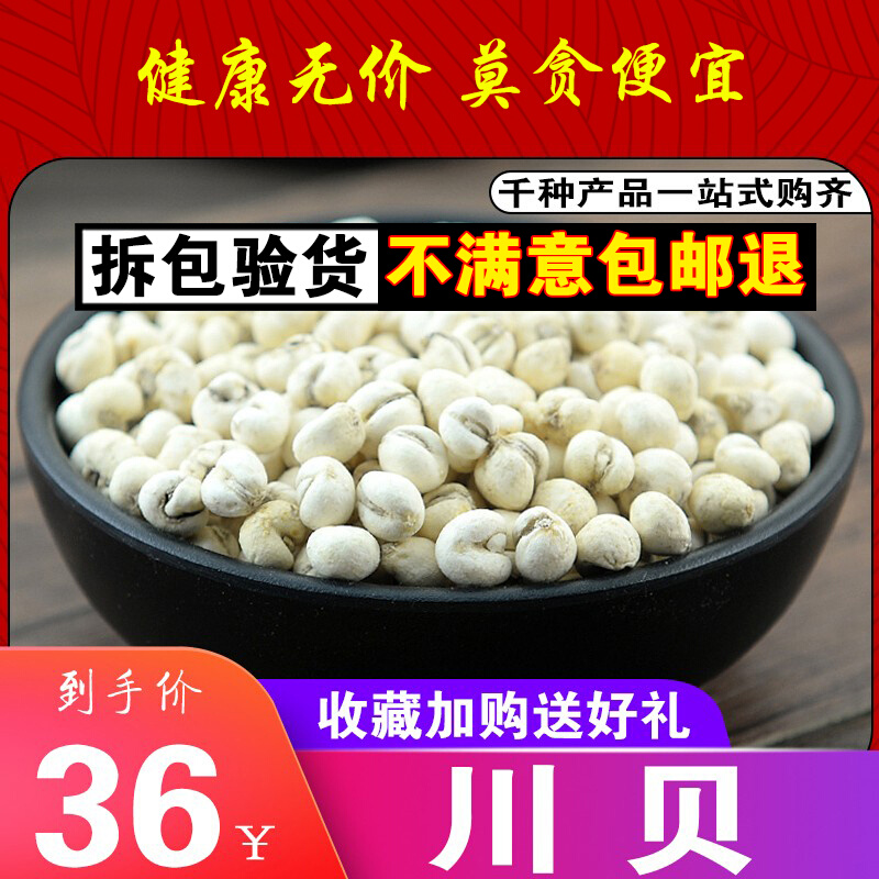 Chuan Fritillaria 50g new goods Chinese herbal medicine pure sulfur-free Sichuan Fritillaria Pingchuan Fritillaria free grinding Chuan Fritillaria powder