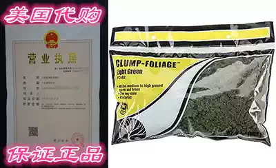 Woodland Scenics Clump Foliage