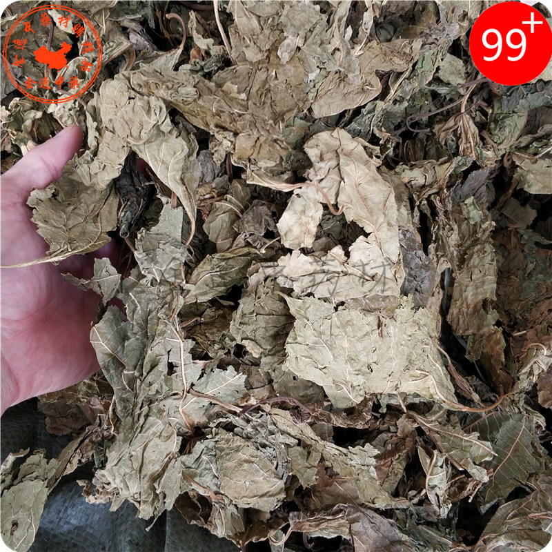 Chinese herbal cream mulberry leaf 500g green mulberry leaf dry mulberry leaf dry mulberry leaf can be made of mulberry leaf powder Chinese herbal medicine