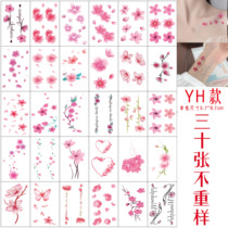 Tattoo waterproof non-reflective durable Net red tattoo small pattern female sexy scar ankle chest private parts