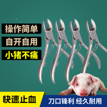 Cutting pliers for pigs Scissors for pig teeth Rabbit pig teeth scissors Cutting tools for pigs Breeding equipment