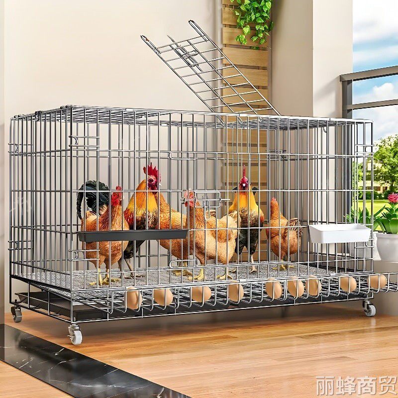 鸡笼家用室内自动清粪养鸭鸽子养殖笼室外鸡舍鸡窝笼大号防雨蛋托有什么优点？适合哪些场景使用？-养殖用具-淘宝好物网