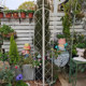 Wrought iron climbing frame outdoor rose clematis frame folding garden plant climbing traction bracket flower pot ການຈັດດອກໄມ້