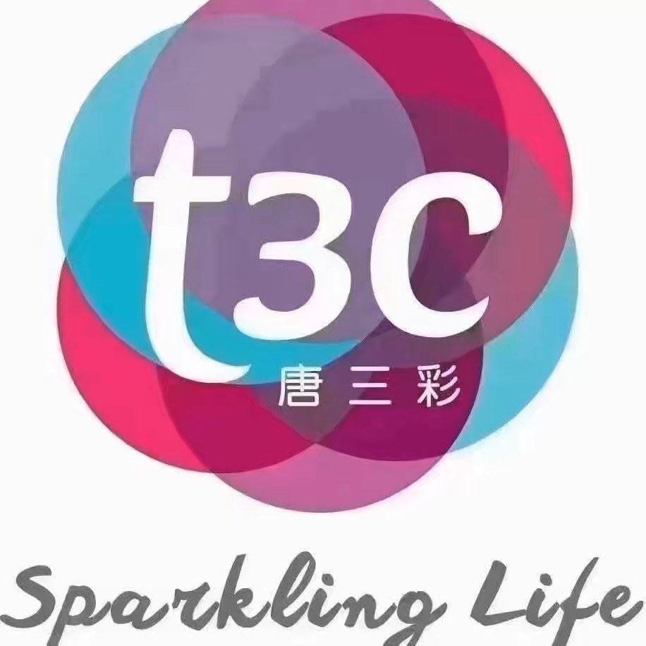 T3C彩妆实体店的LOGO