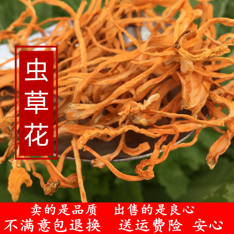 Worm Grass Flower Dry Goods No Sulphur Spores Head North Gold Pupa Caterpillar Fungus Soup Material 250 gr Golden Worm Grass Nourishing