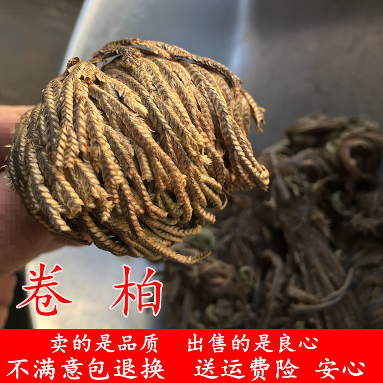 Wild Chinese herbal medicine Selaginella immortal grass nine dead revival grass Shi cypress rejuvenation grass rock cypress grass 500g