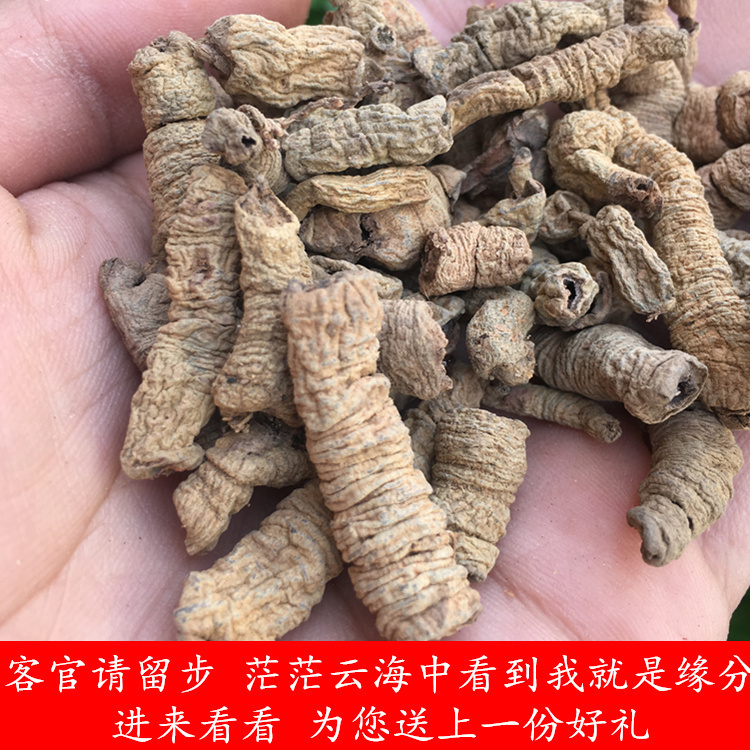 The Morinda Officinalis Morinda Dry Goods 250 gr soak in the core and another sale of the dodder lock yang cistanche