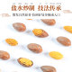 Mihe Torreya 2023 new arrival old tree Xiangfei nuts roasted seeds and nuts specialty snacks Xiangfei 500g canned flagship store