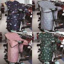 Electric donkey straddling autumn and winter big pedal s Red special electric motorcycle front windshield is autumn tricycle scooter rear seat